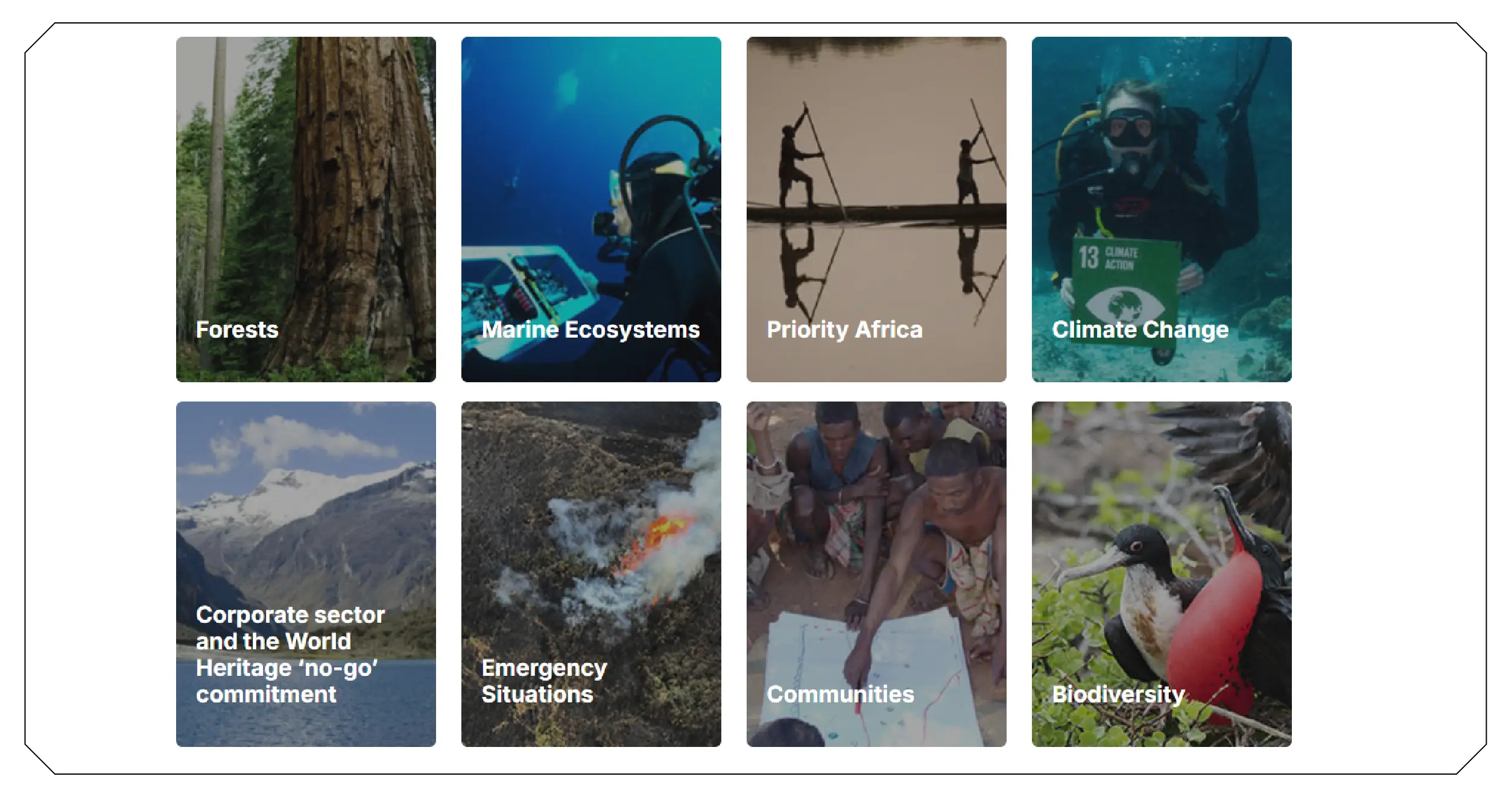 Applications Across the Travel Ecosystem